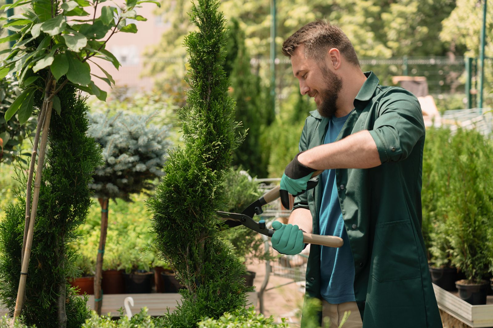 Landscaper trimming shrubs with hand shears